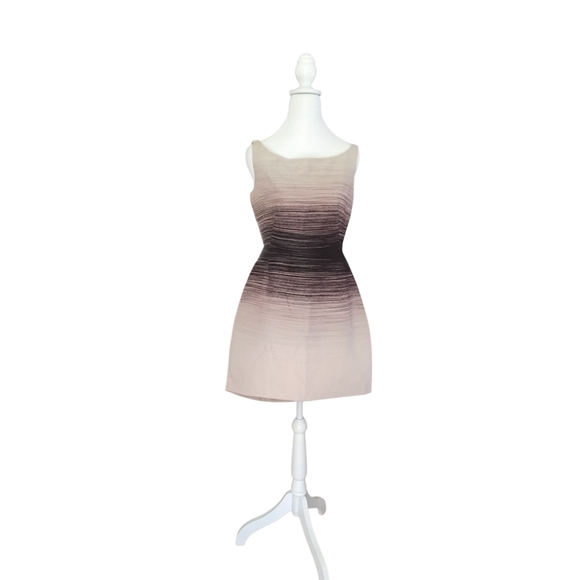 Elegant Ombre Sleeveless Dress - Picture 5 of 10